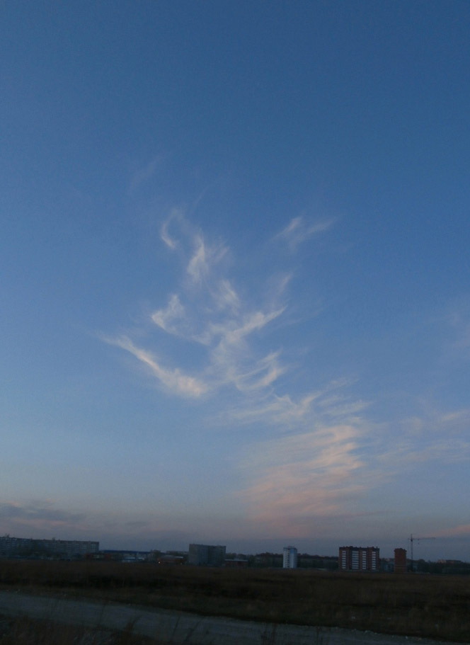 ����������