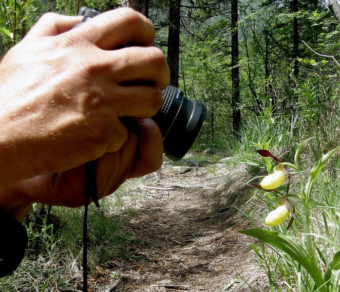 �� �����