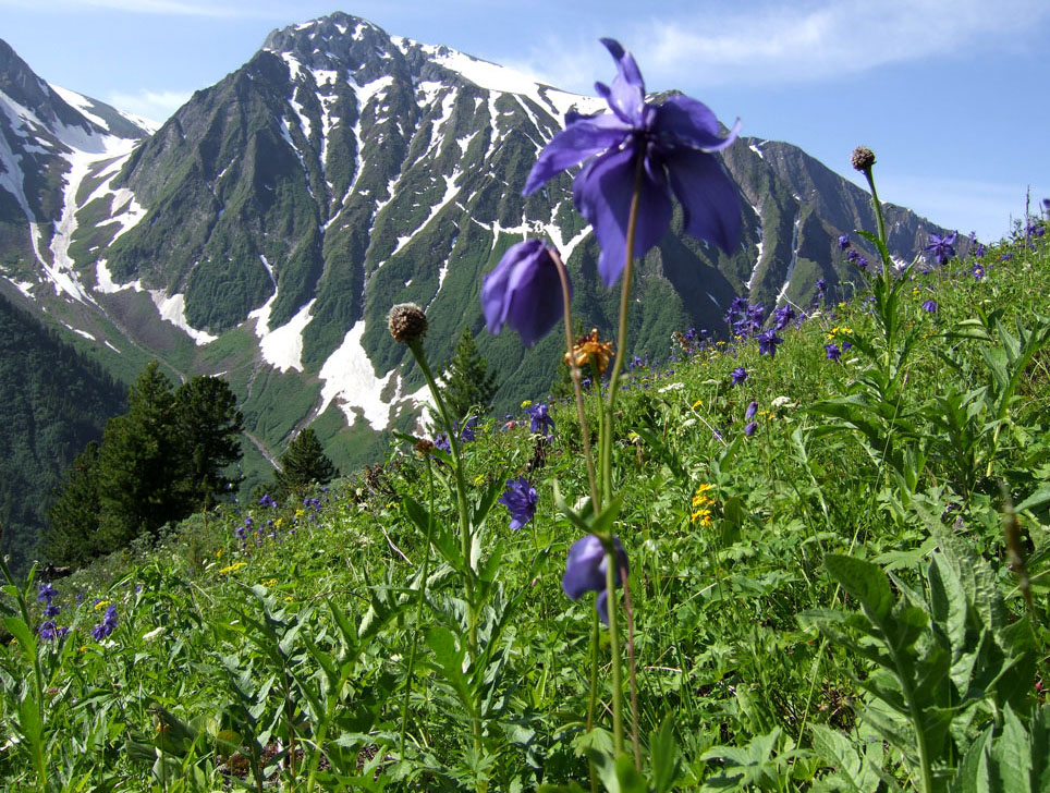 ������ ������������� � ����� ���� ��������������