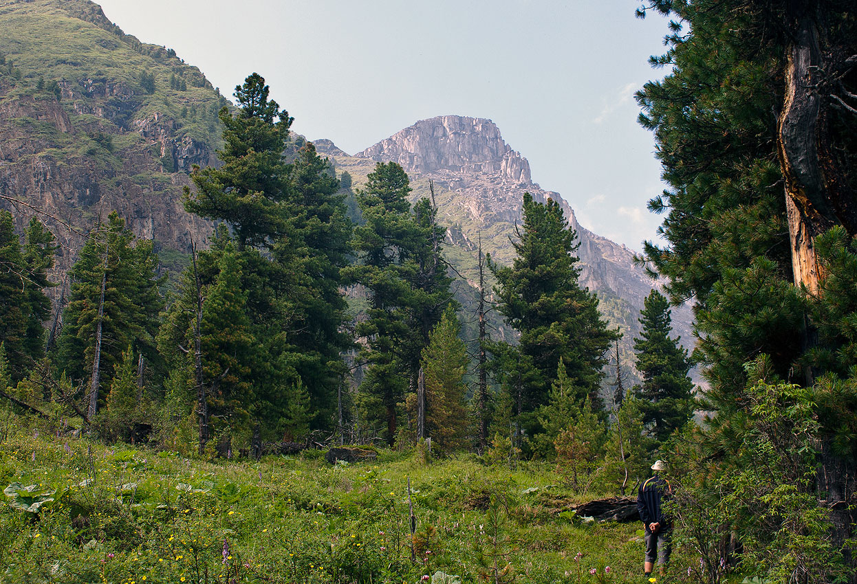 �������