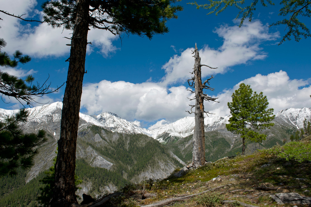 �������� ���������