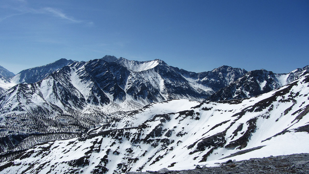 ����, ����, ������ ���� ����...� ��� ��������