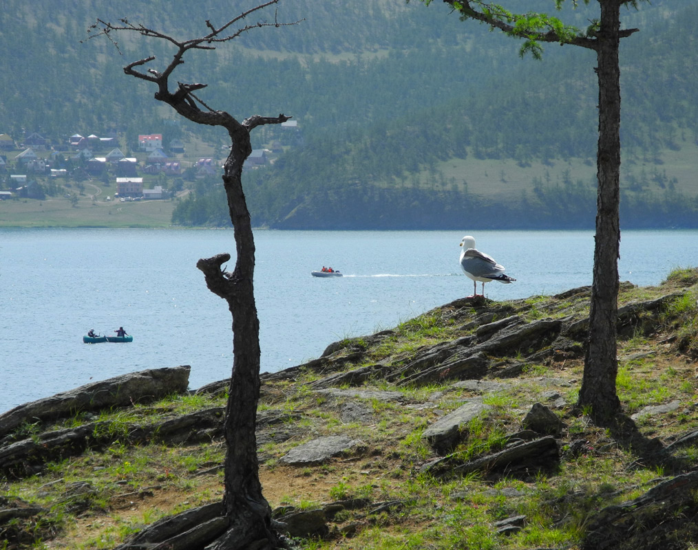 ��� ����� � �� ���� �����...