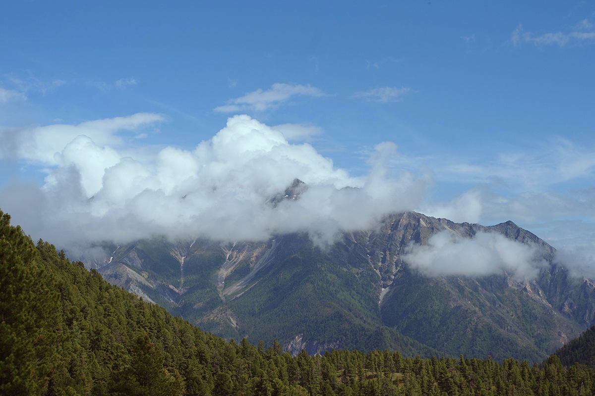 ����� �� �������