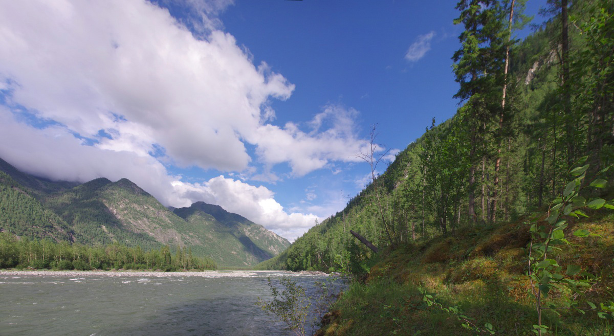 ��������� ������