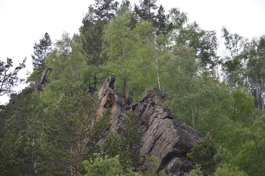 ���� �������