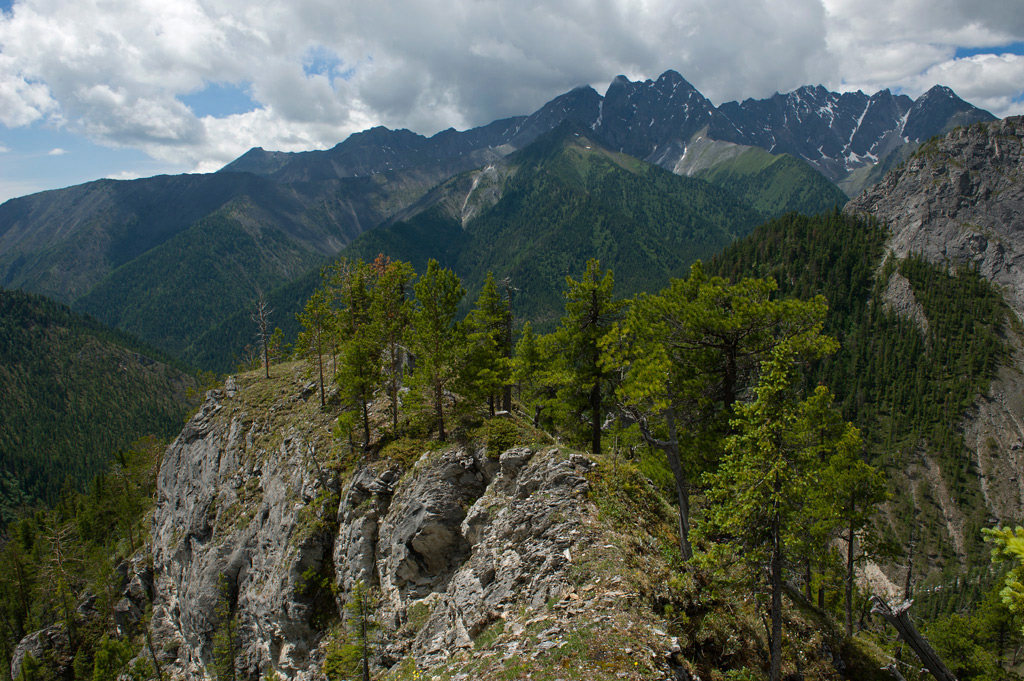 � ��������� ��������