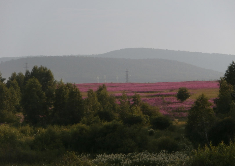 ��������� �����1