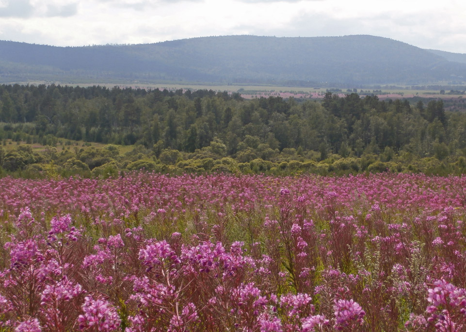 ��������� �����2