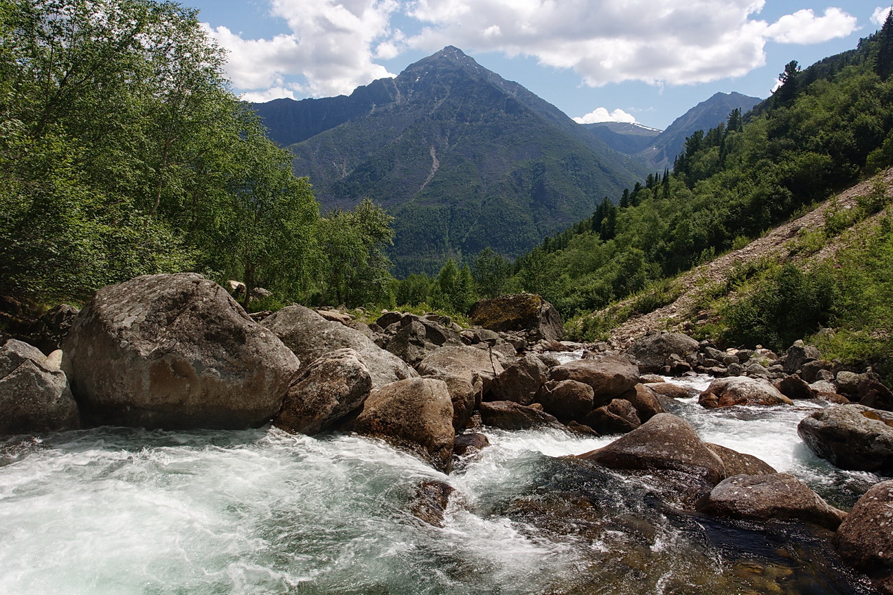 �. ����-�������