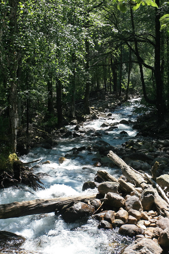 �. �������� ����� ��������� � ������ �������