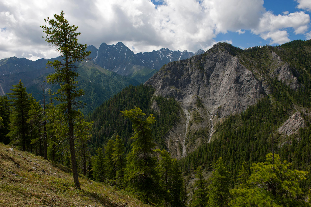 ������ � ����� �� ����������