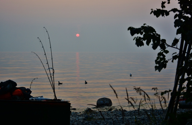 ����� �� ��������