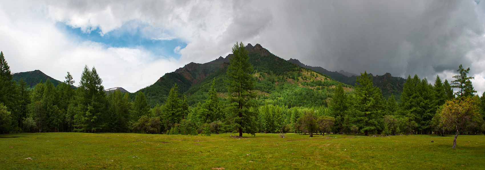 ������ ��������...