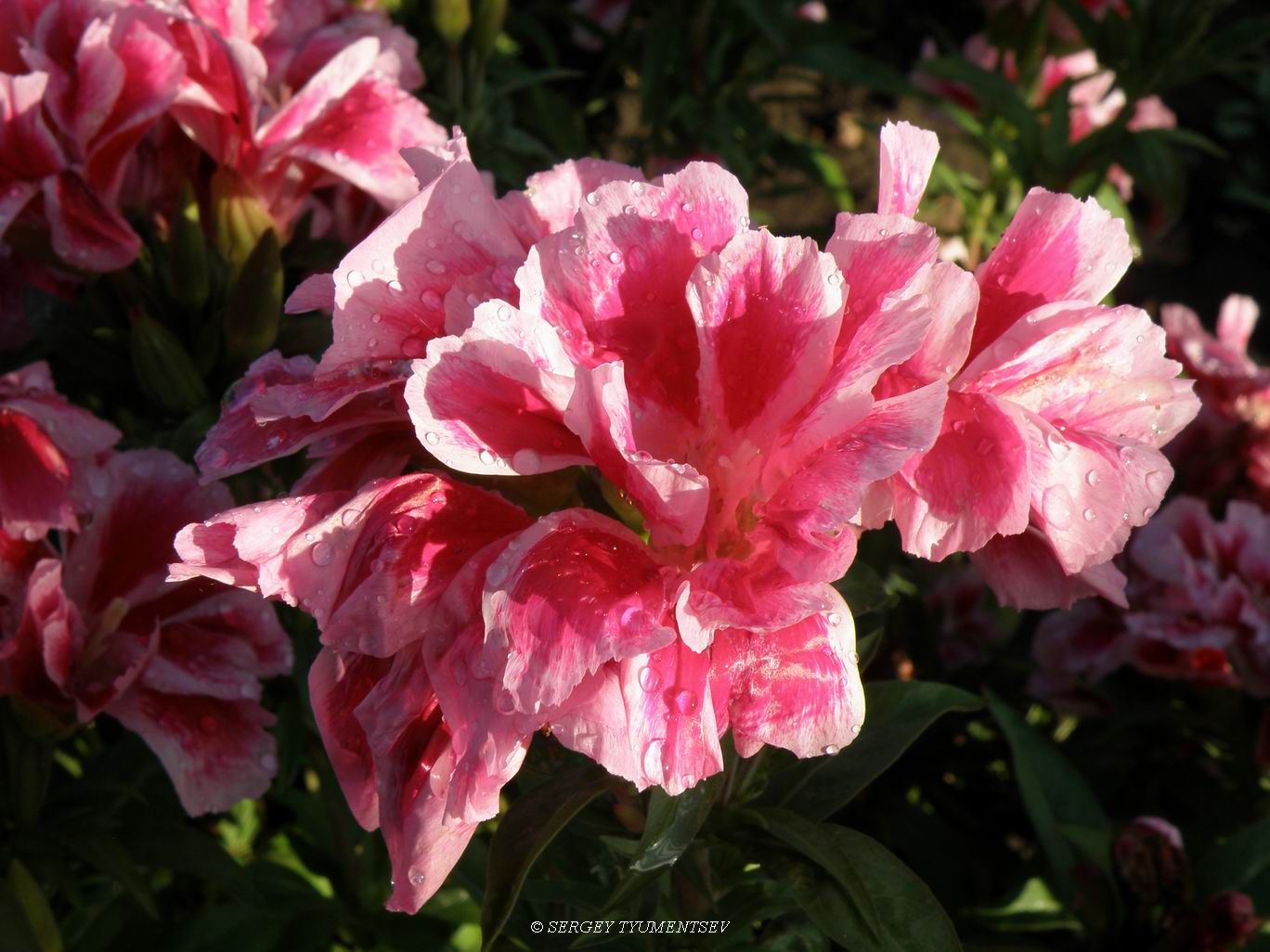 �������