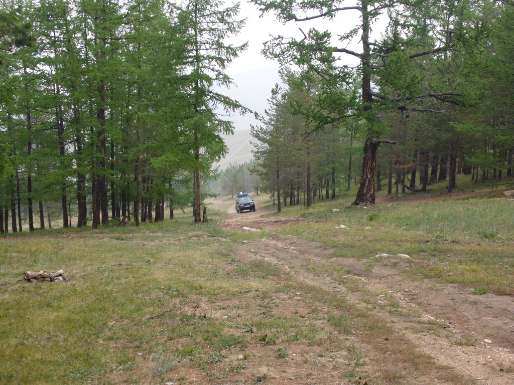 ������ ������ � ����-����