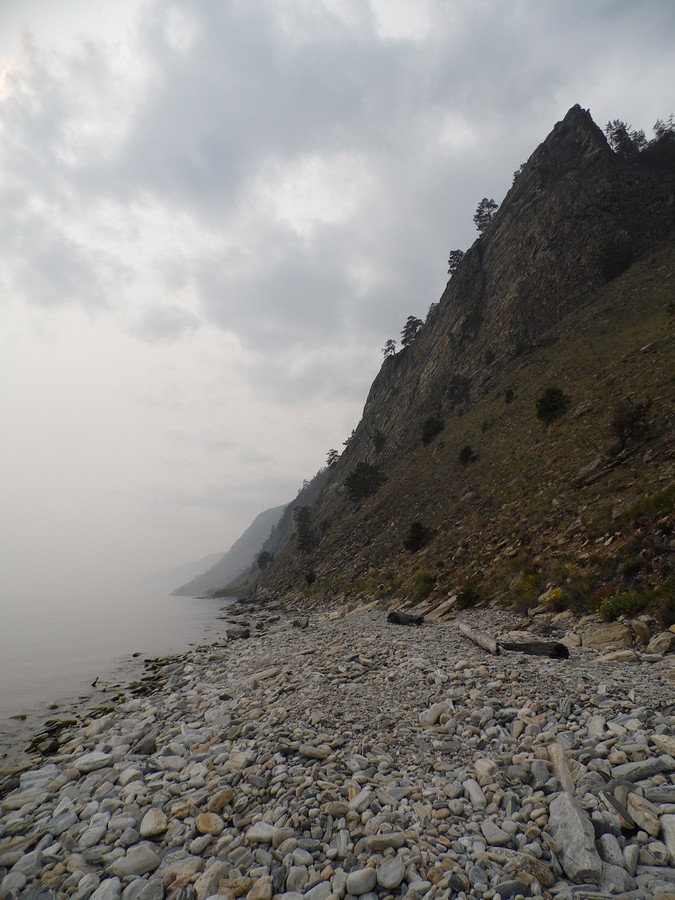 ������� "���" �����