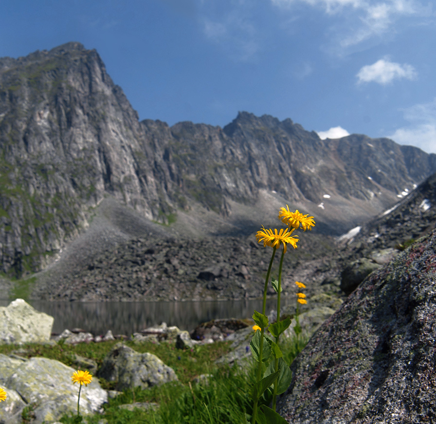 � ������� ������