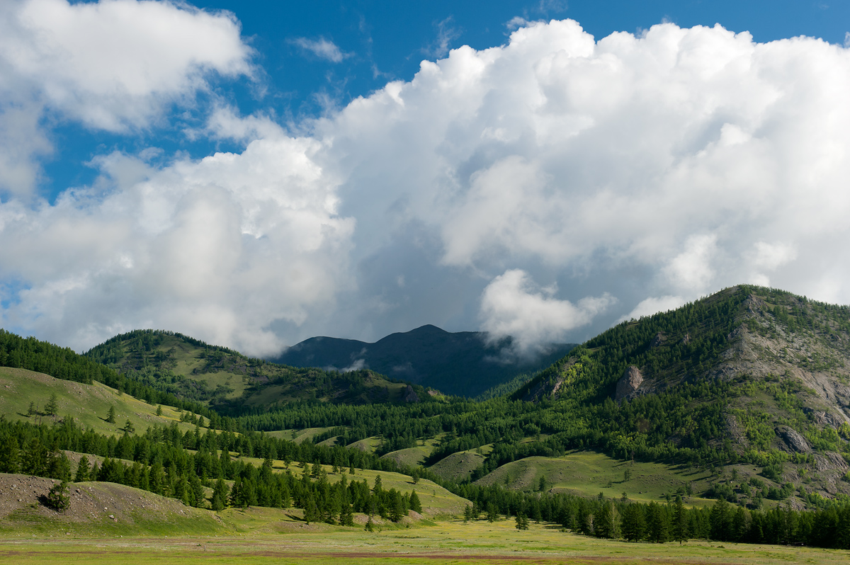 ������ � ���� 2