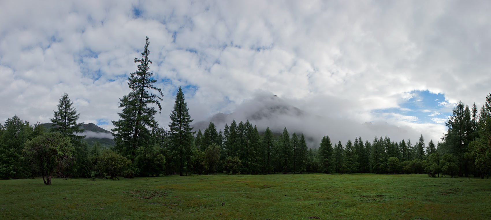 ������� �������...