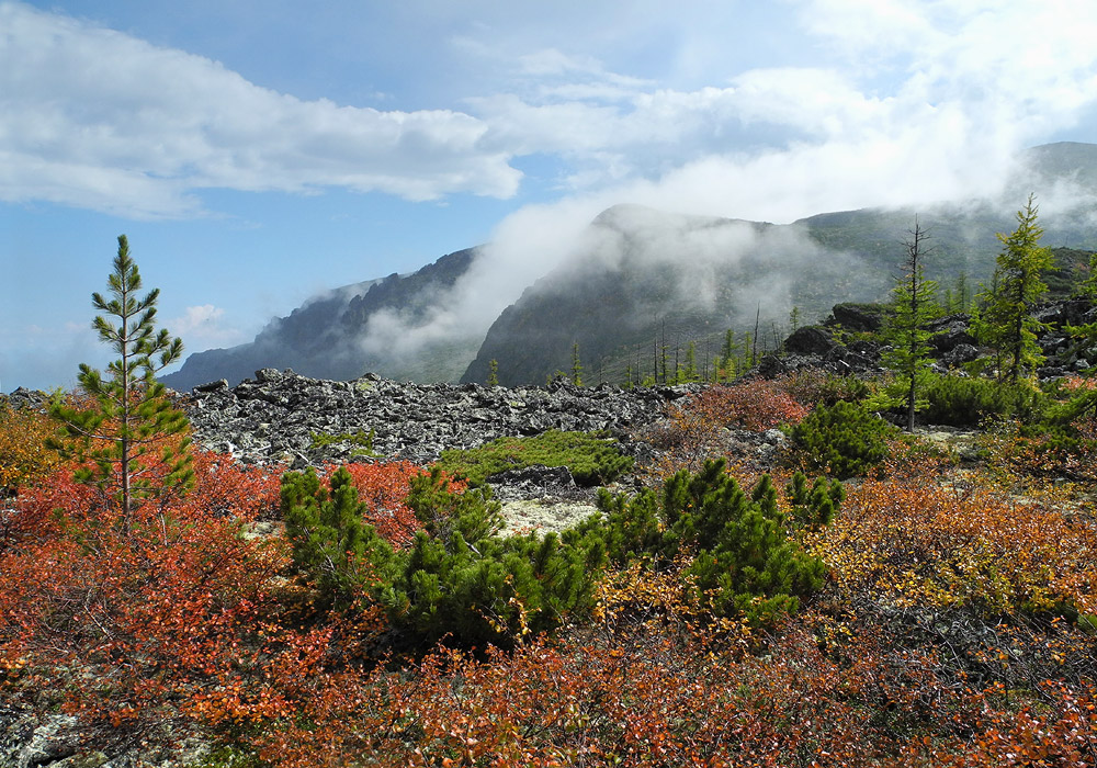 �������� � �������