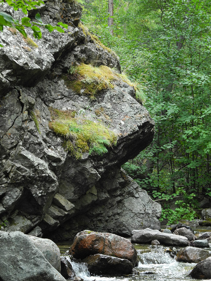 ����� "�������"