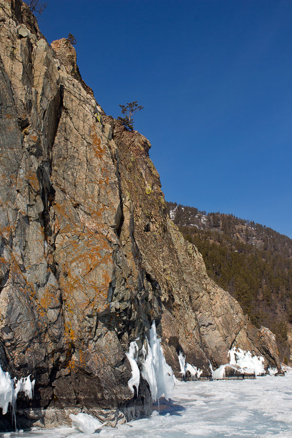 ����� � ������ �� ���� ������� ������