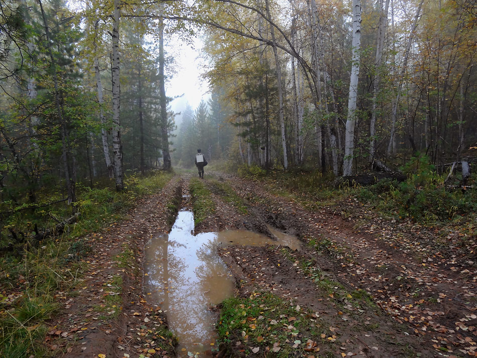 ������� ����