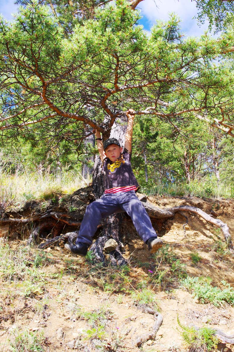 �������