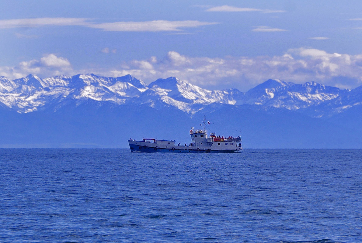 ������ �� �������