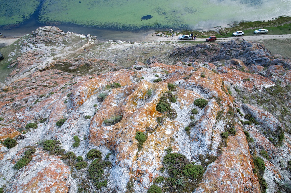 ��� ������ ����� ���