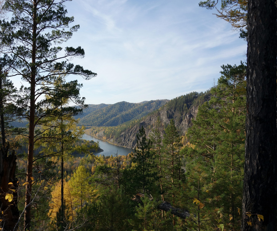 ��� �� �.�����