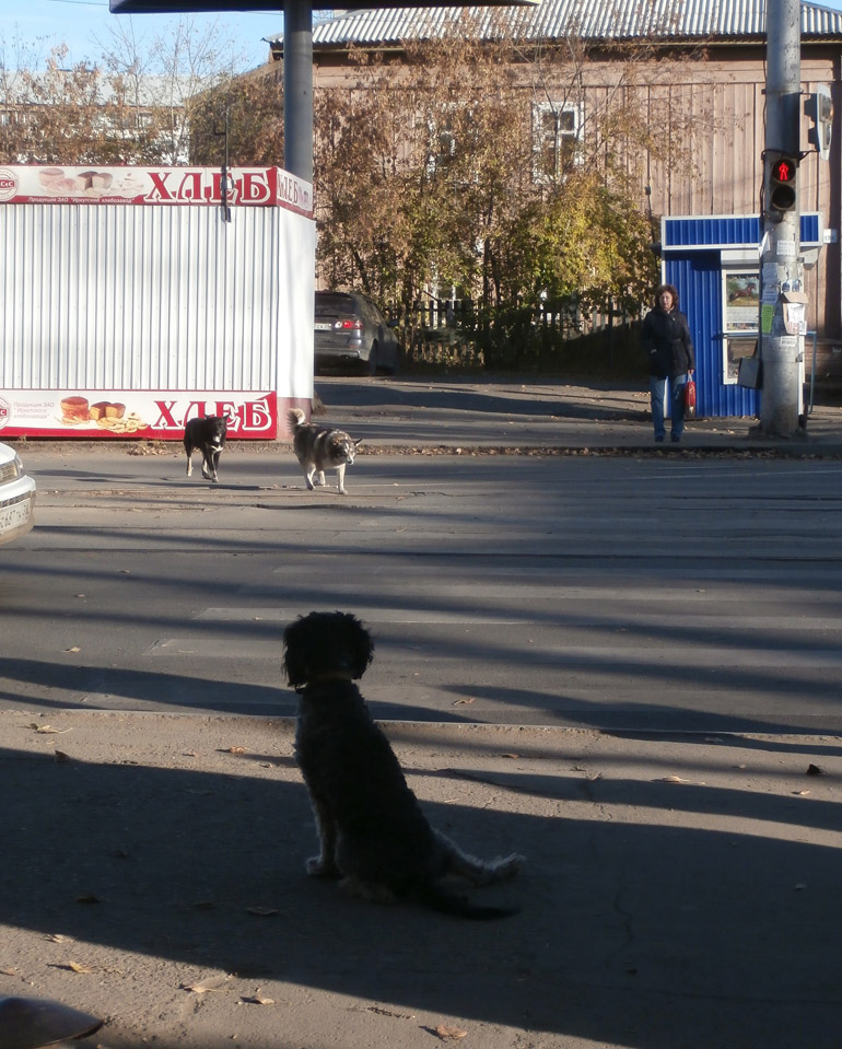 "����������" ���1