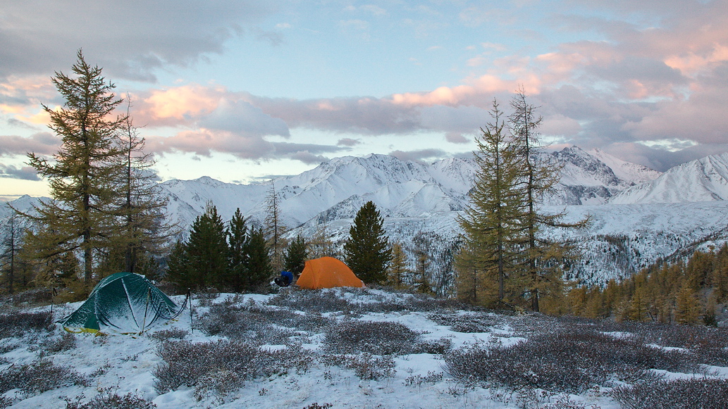 ������� ����