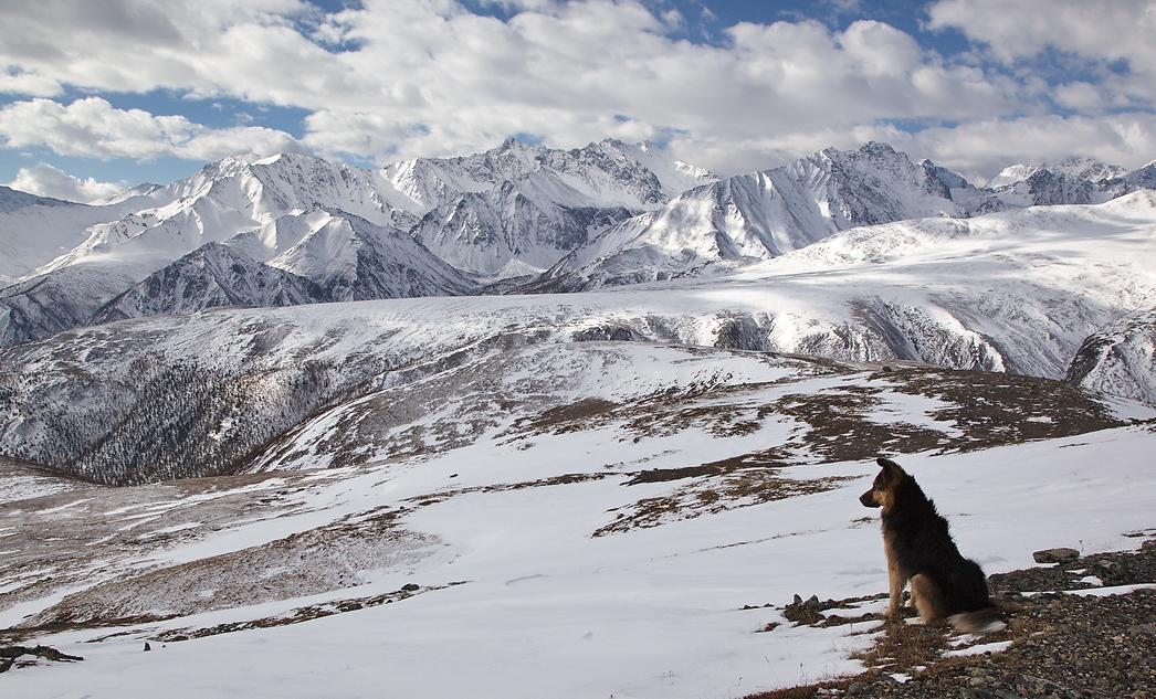 � ������