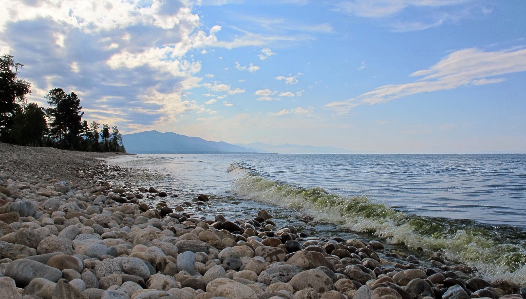 ������...