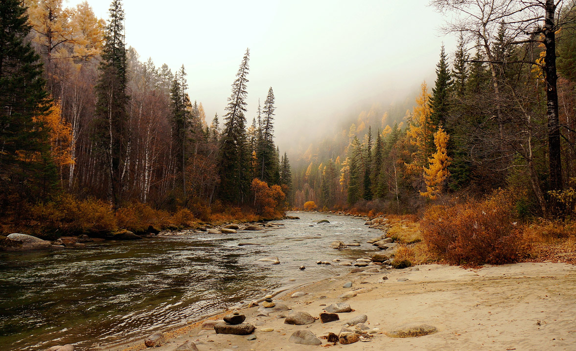 ���� �������� ��� ���-������