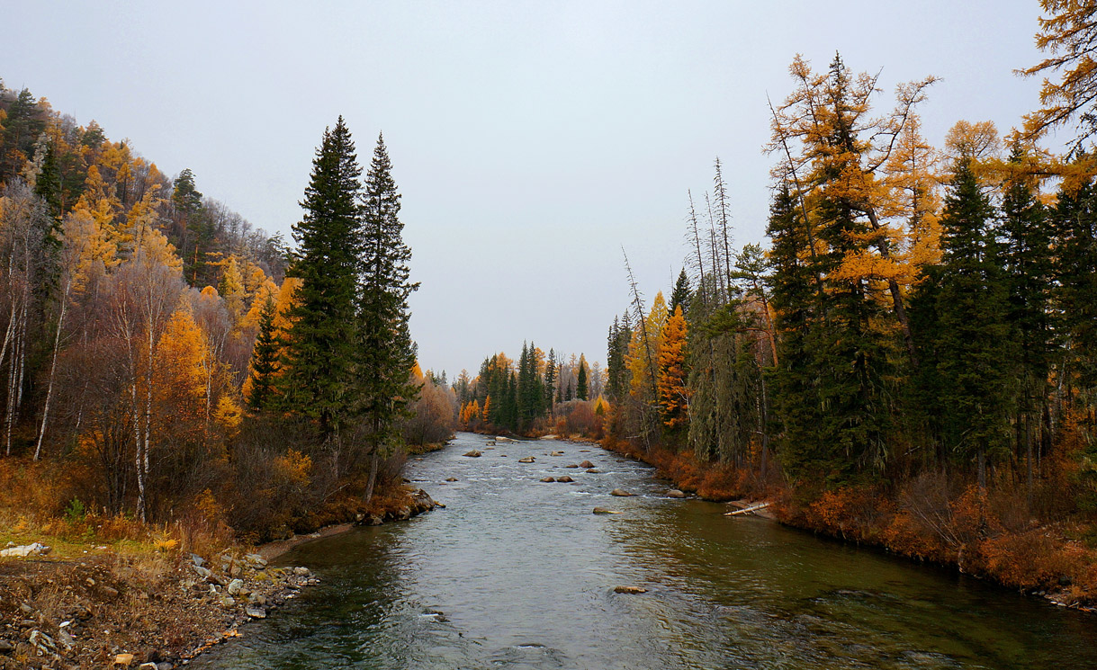 ������� ���� �� ���� ���-����