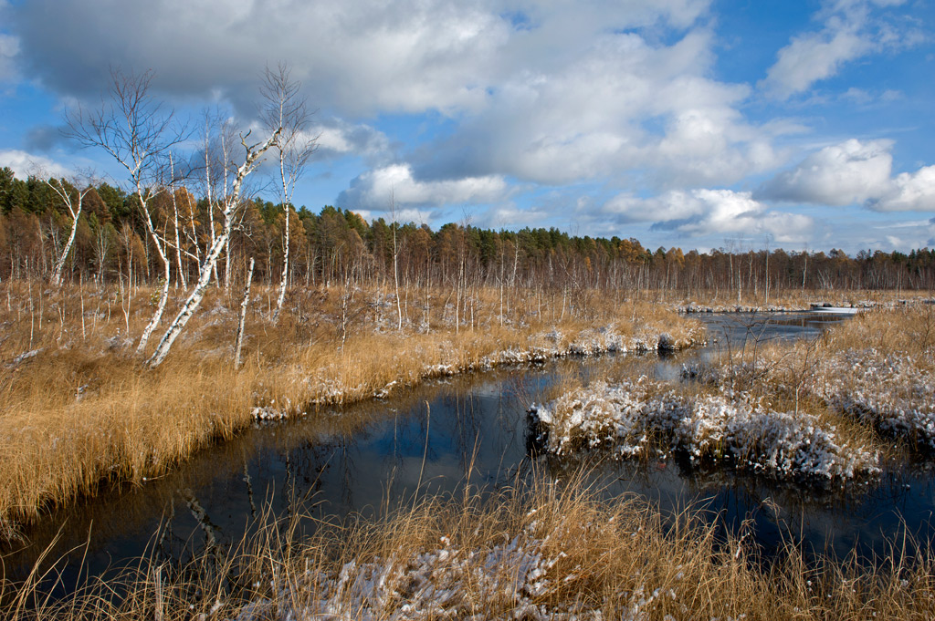 ��������� �����