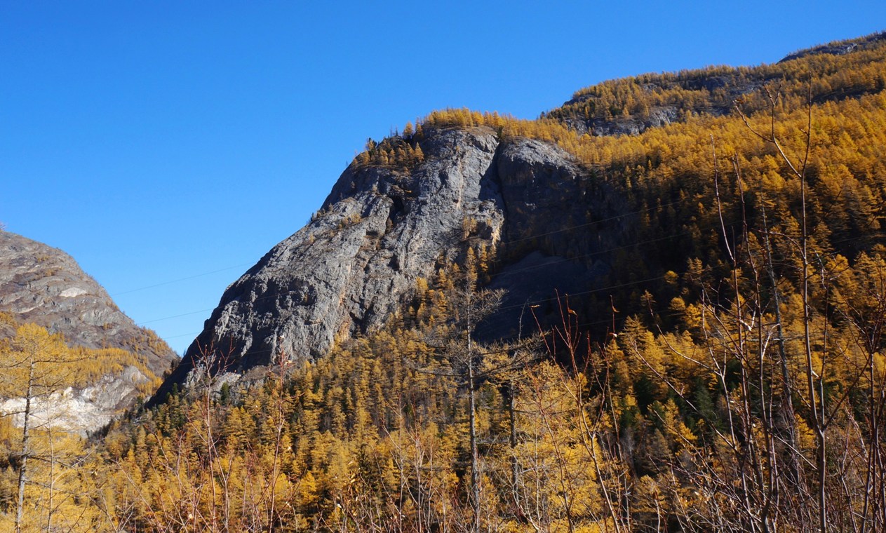 "�������" ��� ׸���� �������