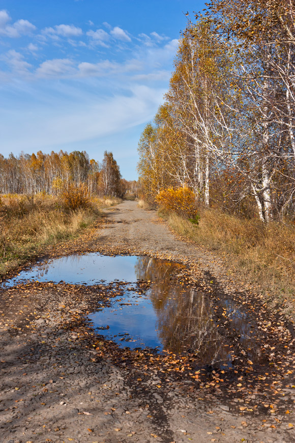 �������� �����