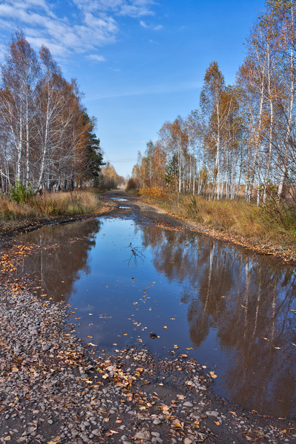 �������� ����� 1