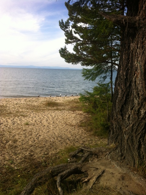 �������