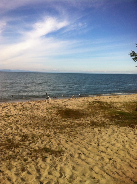 �������