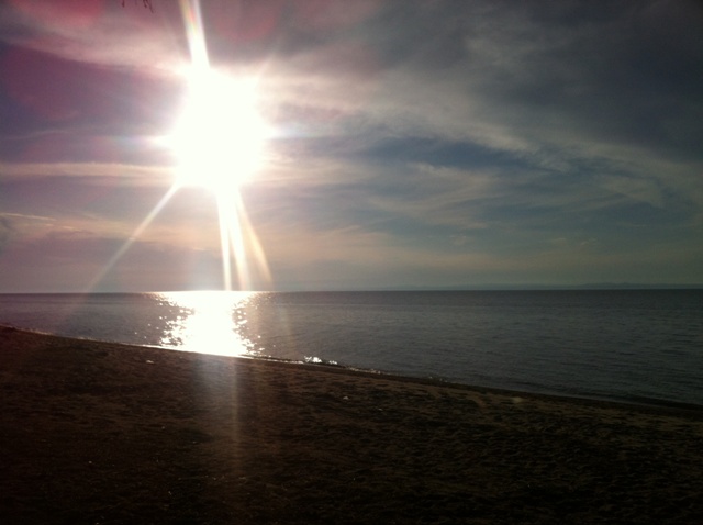 �������