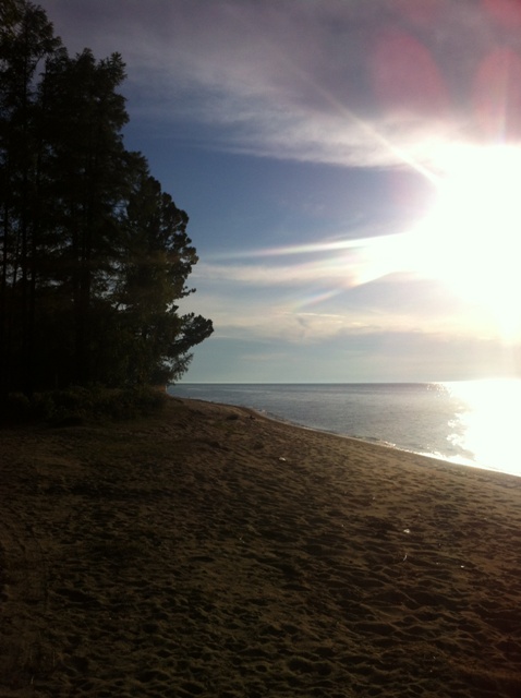 �������