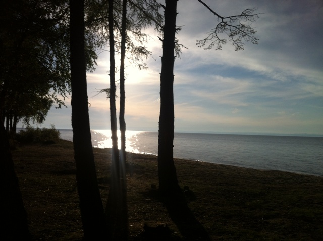 �������