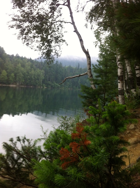 �������