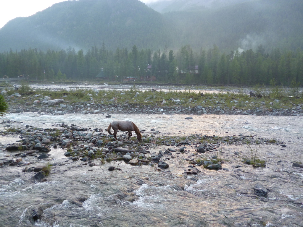 ��������� ��������