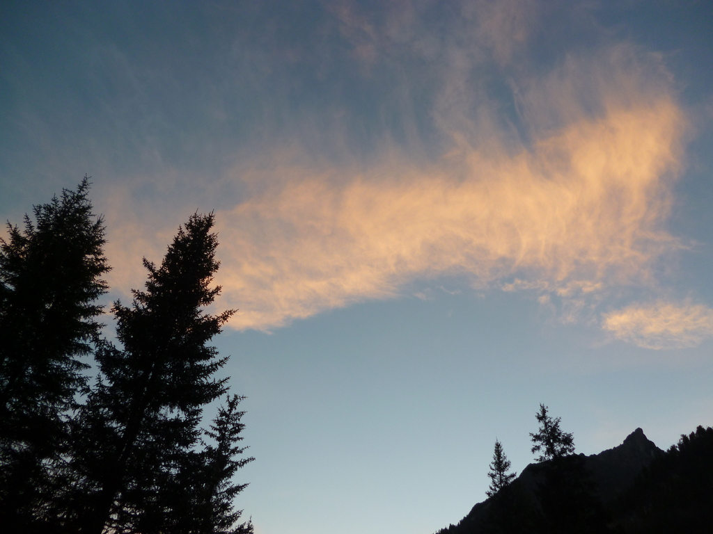 ��������� �������� ������